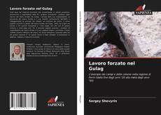 Lavoro forzato nel Gulag的封面