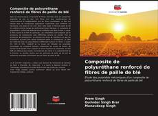 Bookcover of Composite de polyuréthane renforcé de fibres de paille de blé