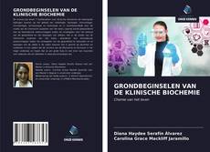 Bookcover of GRONDBEGINSELEN VAN DE KLINISCHE BIOCHEMIE