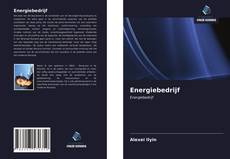 Bookcover of Energiebedrijf