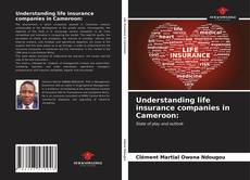 Capa do livro de Understanding life insurance companies in Cameroon: 