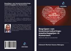 Bookcover of Begrijpen van levensverzekerings- maatschappijen in Kameroen: