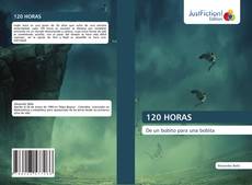 Bookcover of 120 HORAS