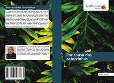 Buchcover von Por causa das catorzinhas