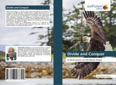 Divide and Conquer kitap kapağı