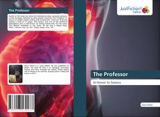 The Professor kitap kapağı