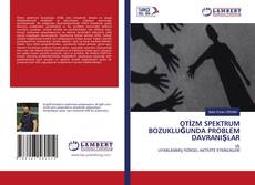Copertina di OTİZM SPEKTRUM BOZUKLUĞUNDA PROBLEM DAVRANIŞLAR