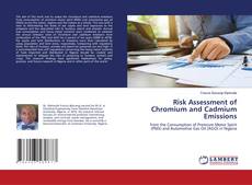 Copertina di Risk Assessment of Chromium and Cadmium Emissions