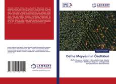 Copertina di Defne Meyvesinin Özellikleri