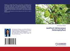 Copertina di Jackfruit (Artocarpus Heterophyllus)