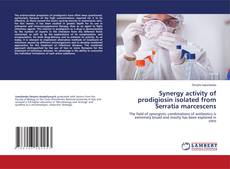 Copertina di Synergy activity of prodigiosin isolated from Serratia marcescens