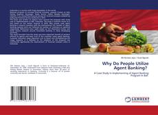Copertina di Why Do People Utilize Agent Banking?