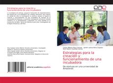 Couverture de Estrategias para la creación y funcionamiento de una incubadora