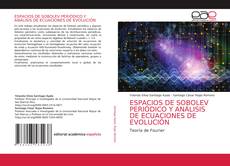 Buchcover von ESPACIOS DE SOBOLEV PERIÓDICO Y ANÁLISIS DE ECUACIONES DE EVOLUCIÓN