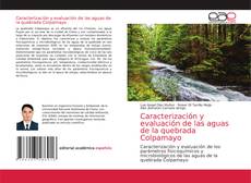 Couverture de Caracterización y evaluación de las aguas de la quebrada Colpamayo
