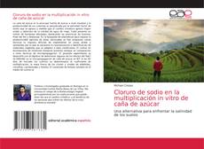 Copertina di Cloruro de sodio en la multiplicación in vitro de caña de azúcar