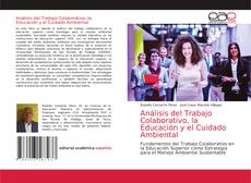 Copertina di Análisis del Trabajo Colaborativo, la Educación y el Cuidado Ambiental