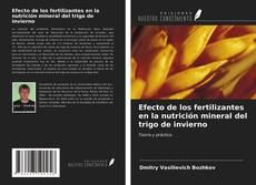 Bookcover of Efecto de los fertilizantes en la nutrición mineral del trigo de invierno