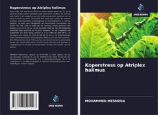 Couverture de Koperstress op Atriplex halimus