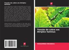 Couverture de Tensão do cobre em Atriplex halimus