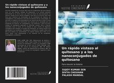 Copertina di Un rápido vistazo al quitosano y a los nanoconjugados de quitosano