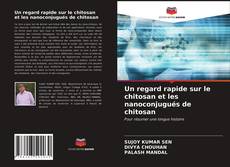 Bookcover of Un regard rapide sur le chitosan et les nanoconjugués de chitosan