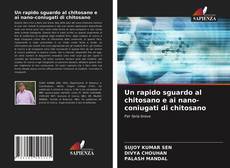 Bookcover of Un rapido sguardo al chitosano e ai nano-coniugati di chitosano