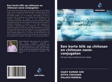 Bookcover of Een korte blik op chitosan en chitosan nano-conjugaten