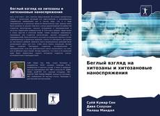 Borítókép a  Беглый взгляд на хитозаны и хитозановые наноспряжения - hoz