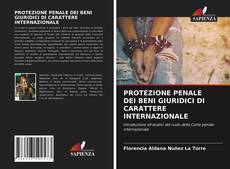 Copertina di PROTEZIONE PENALE DEI BENI GIURIDICI DI CARATTERE INTERNAZIONALE