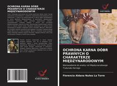 Bookcover of OCHRONA KARNA DÓBR PRAWNYCH O CHARAKTERZE MIĘDZYNARODOWYM