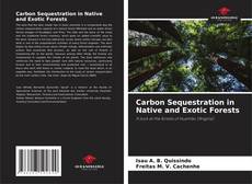 Copertina di Carbon Sequestration in Native and Exotic Forests