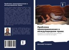 Проблема правоприменения в международном праве的封面