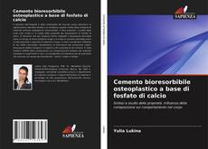 Bookcover of Cemento bioresorbibile osteoplastico a base di fosfato di calcio