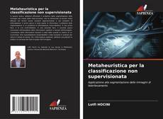 Metaheuristica per la classificazione non supervisionata kitap kapağı