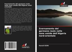 Svernamento del germano reale nelle zone umide dell'Algeria nord-orientale kitap kapağı