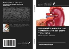 Bookcover of Pielonefritis en niños con contaminación por plomo y mercurio