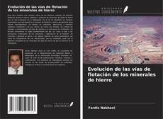 Portada del libro de Evolución de las vías de flotación de los minerales de hierro