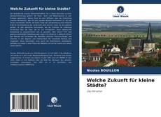 Welche Zukunft für kleine Städte?的封面