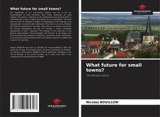 What future for small towns?的封面