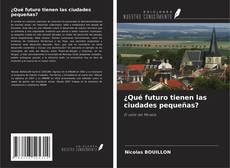 Buchcover von ¿Qué futuro tienen las ciudades pequeñas?