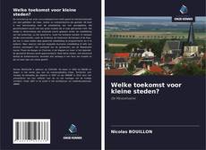 Bookcover of Welke toekomst voor kleine steden?