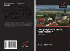 Portada del libro de Jaka przyszłość czeka małe miasta?