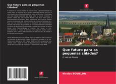 Capa do livro de Que futuro para as pequenas cidades? 