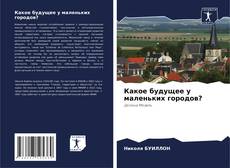 Borítókép a  Какое будущее у маленьких городов? - hoz