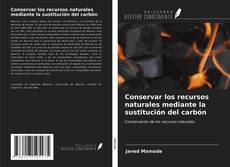 Bookcover of Conservar los recursos naturales mediante la sustitución del carbón