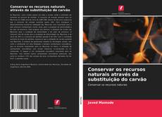 Couverture de Conservar os recursos naturais através da substituição do carvão