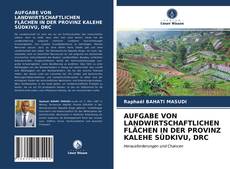 AUFGABE VON LANDWIRTSCHAFTLICHEN FLÄCHEN IN DER PROVINZ KALEHE SÜDKIVU, DRC kitap kapağı