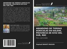 Borítókép a  ABANDONO DE TIERRAS AGRÍCOLAS EN KALEHE, PROVINCIA DE KIVU DEL SUR, RDC - hoz