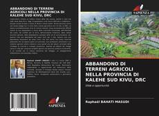 Обложка ABBANDONO DI TERRENI AGRICOLI NELLA PROVINCIA DI KALEHE SUD KIVU, DRC